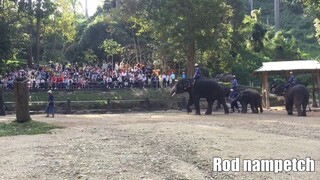 มาดูน้ำเพชรเต้นกัน😂😂😆