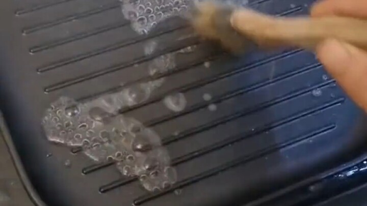 Curiosity killed the cat #AnimalsDoingWeirdThings #MagicalCreatures #CatsDoingWeirdThings