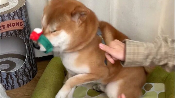 靓仔：今天格外的冷，我说的不只是天气还有人心！