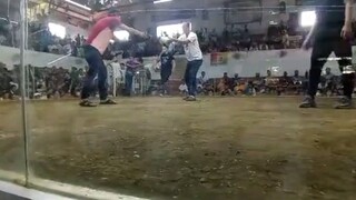 VON SUD GAME YARD OUR OWN VERSION OF WHITE HATCH.