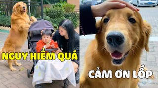 Gia Đình Lốp | LỐP Đã Cứu 1 EM BÉ Bị Trôi Xe Như Thế Nào ? 😍 Gâu Đần Official