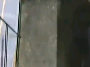 都是大聪明