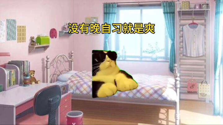 [Cat Meme] About My Dad Skipping the Parent‑Teacher Meeting