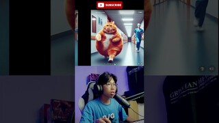 kucing ini sudah lahiran dan mabar fortnite sama bapaknya #kucing #fortnite #chatgpt #chatgpt4
