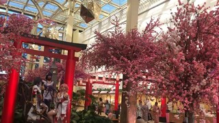 懒惰不会让你瞬间跌倒，却能在不知不觉中减少你的收获，勤奋不会使你一夜成功，却能在不知不觉中积累你的成果，美好的一天，早啊！