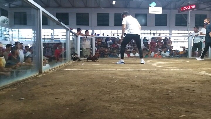 #CGSABLANIIGF December 4, 2023 JF Sports arena 2hits ulutan CHAMPION!