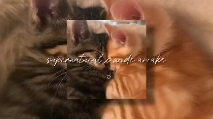 supernatural x wide awake ( tiktok version )
