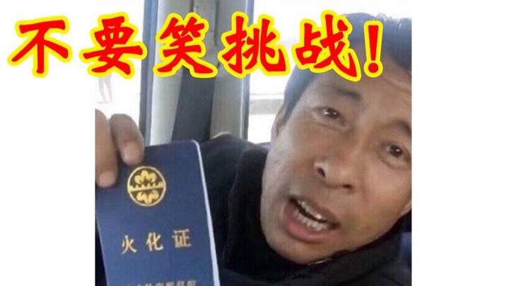 【火 化 级】不要笑挑战！只有1%的人能忍住不笑！