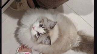 How is this any different from raising a child?