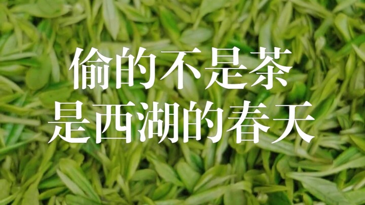 What was stolen wasn’t tea, but the spring of West Lake.