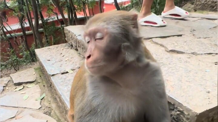 ملف الشخصية عبر الإنترنت الحلقة 102: العم هوجو