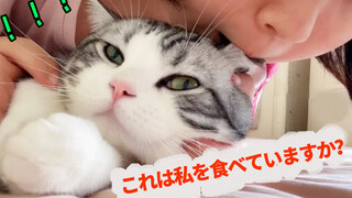 เมื่อแมวบ้านคุณพบว่าคุณอยากกินหูแมว......ชีวิตแมวไม่เป็นสุขแล้ว 555