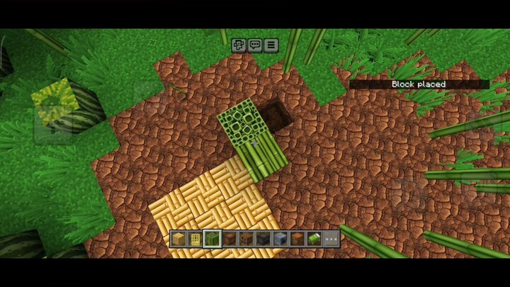 I Built a Tiny Bamboo House! 🎋🏠😱