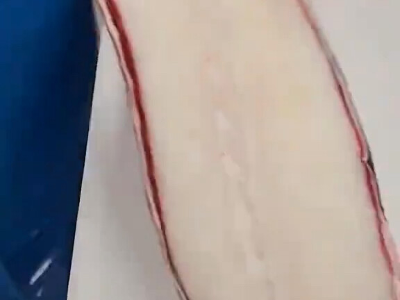 Daging yang belum pernah kalian lihat