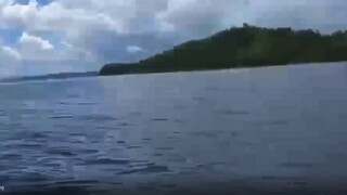 他们能够洞悉身边人和事的本质，甚至可以通过行为预测未来。然而，他们并不会轻易展示这一点，与他们相处不深的人可能会觉得他们很单纯、坦率和自然，就像孩子一样。