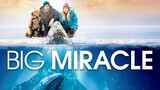 Big Miracle (English)