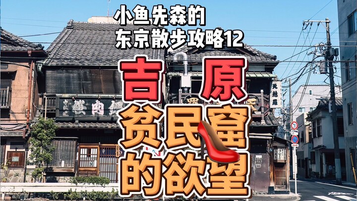 Panduan Jalan-jalan Sehari di Yoshiwara & Iriya Tokyo: Hasrat di Daerah Kumuh