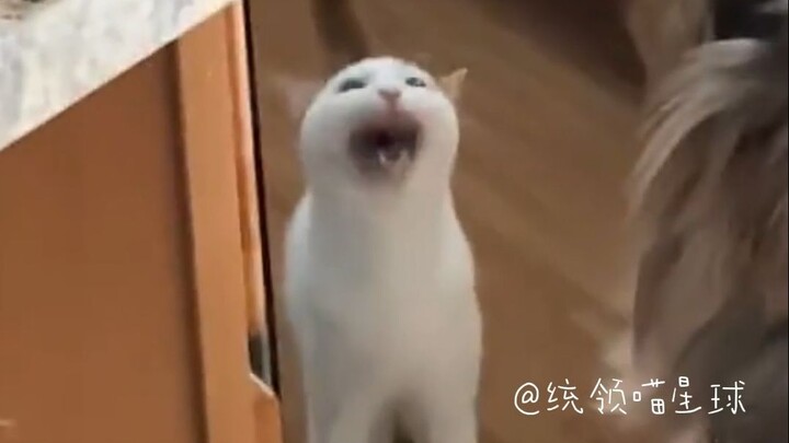 I’m starving—I need to eat!!!