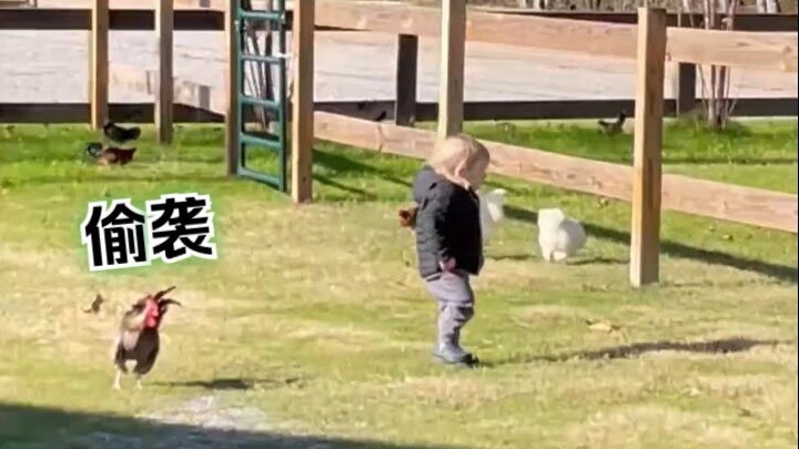 Ever since then, I’ve been terrified of pointy-beaked creatures 😨