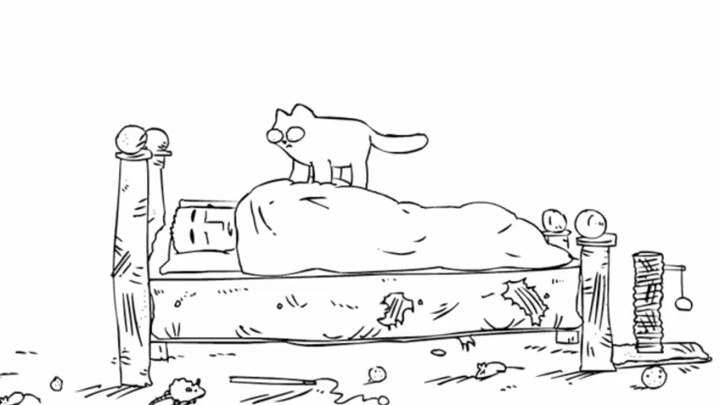 Liệu điều này có giống như việc con mèo đánh thức bạn dậy mỗi ngày không?