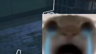 Không có bài bổ, vậy thì nhìn vào phòng chìa khóa! ! !