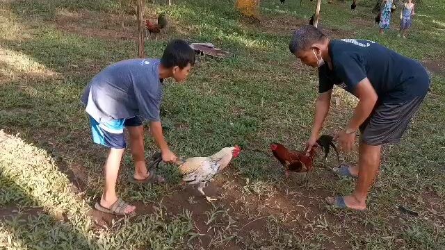 spar spar muna tayo
