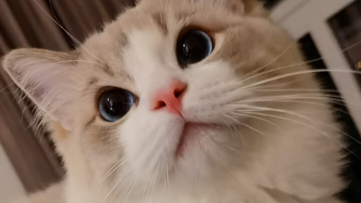 Nghe nói mấy anh chàng lực lưỡng đều mê món này?