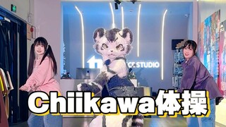 魔性Chiikawa体操！！！！