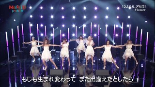 Sayonara, Alice by Flower — Live Performance on Premium MelodiX! [17th March 2015]