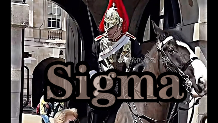Sigma Man - Rasa Hormat