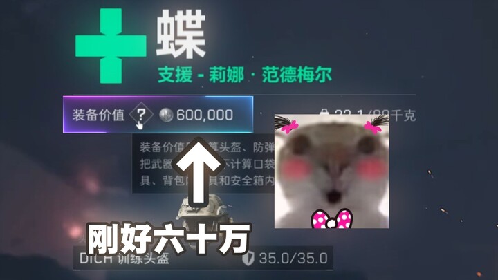 Equipment Value: 600,000
