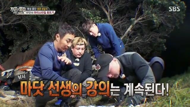 E270 Law of the Jungle - New Zealand