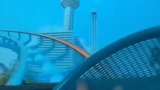 แมว: ตกใจจะตายแล้ว!