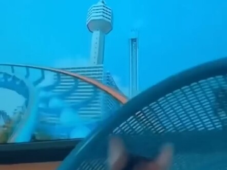 แมว: ตกใจจะตายแล้ว!