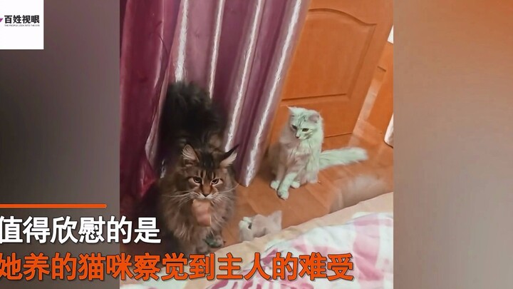 Sau khi cô gái dương tính, chú mèo có “hành vi bất thường”, thi thoảng lại tha thịt đến cho cô; cư d
