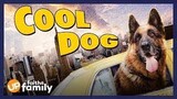 Cool Dog | Full Family Adventure | Comedy Movie