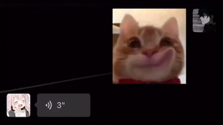 《男德天花板》