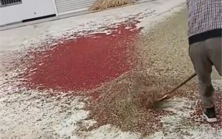 يا له من عبقري اخترع الريح!