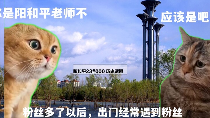 Yang Heping 24#104 [Cat Meme] A Few Things About How I Became an Uploader at 70 Years Old