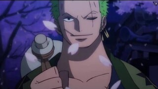 One Piece (AMV) Roronoa Zoro Wano Kuni Born For This