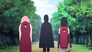 [Remix]Sasuke's perspective of Sakura is like this|<Naruto>