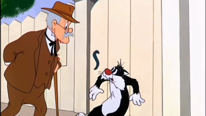 The unlucky cat tried to catch the golden canary, only to run into a pack of big dogs guarding the h