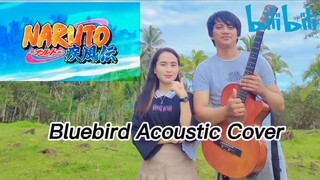 Naruto Shippuden Op3-Bluebird by Ikimino Gakiri Acoustic Cover