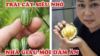 Đại Gia Mới Dám Ăn 7 Trái Cây Tí Hon Siêu Nhỏ Có Giá Đắt Đỏ Nhất Việt Nam