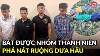 Gia đình cụ ông bị nhóm thanh niên phá nát ruộng dưa hấu: Xin lỗi đàng hoàng thì tôi bỏ qua