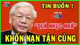 Tin tức nóng và chính xác ngày 8/10/2022||Tin nóng Việt Nam Mới Nhất Hôm Nay