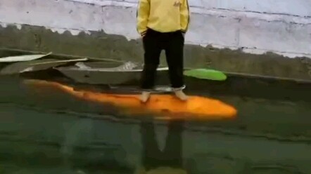 The Ultimate Art of Fish Keeping