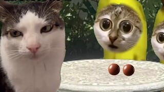 My younger brother discovered my relationship (Part 6)