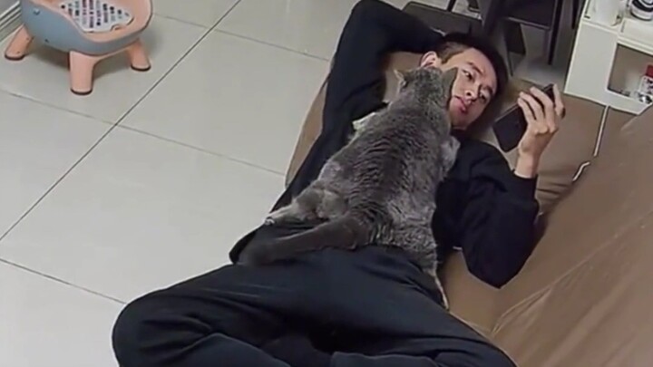 How Much Can People Spoil Their Cats?