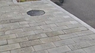 Lúc đầu mọi người nghĩ đó chỉ là một con nai điên